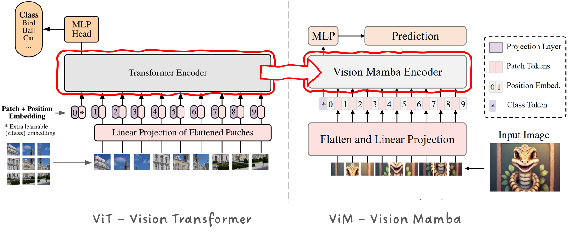 Figure 1: Comparing the ViT-Vision Transformer and the ViM-Vision Mamba models. Images taken from A. Dosovitskiy et. al. and L. Zhu et. al., annotated by Sascha Kirch.