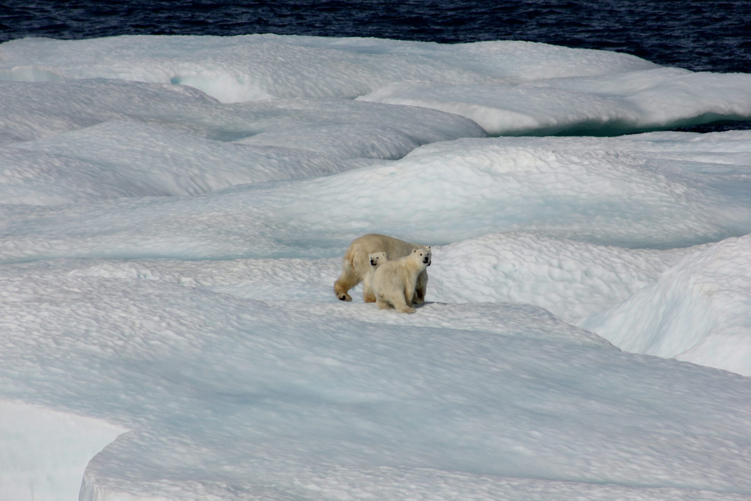 Image by noaa @ Unsplash.com