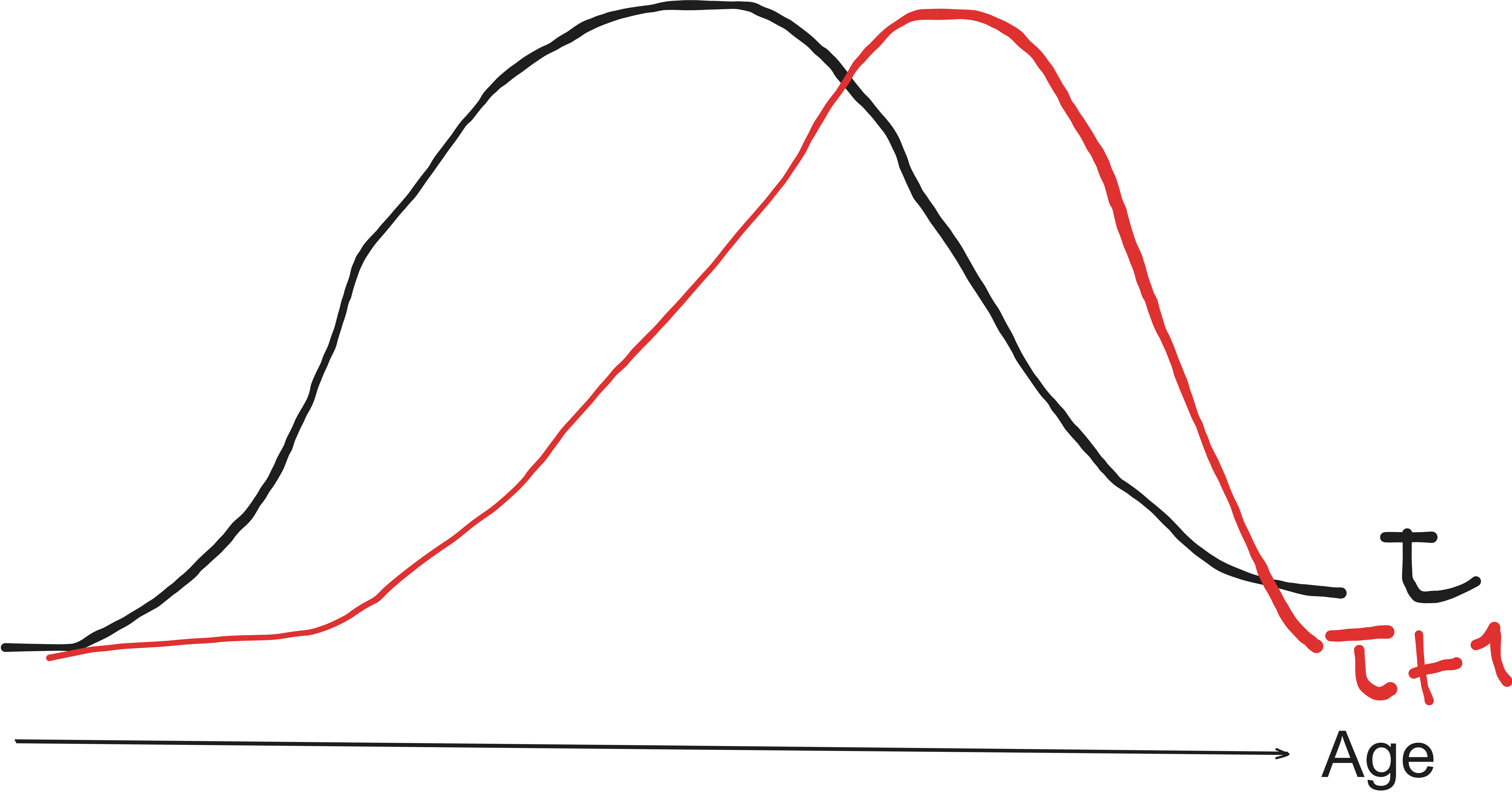 Age Distribution at Time t vs. t+1— Image by Author