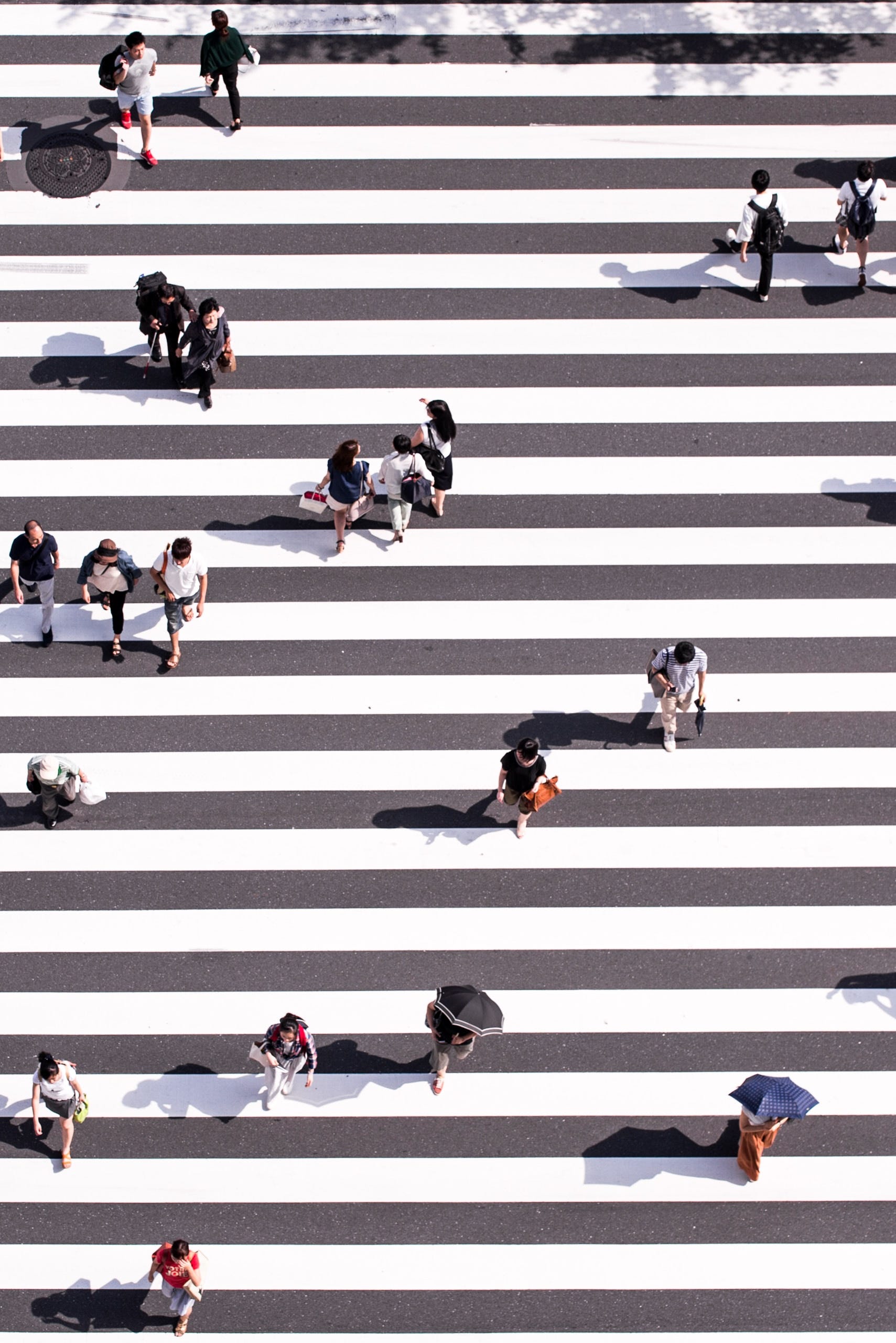 Photo by Ryoji Iwata on Unsplash