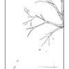 写写画画