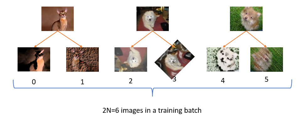 Figure 2: A batch of 6 images in a single training batch for contrastive learning. The number below each image is the index of that image in the input batch when fed into a contrastive learning model. Image Source: Oxford Visual Geometry Group CC-SA.