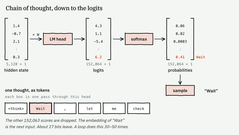 Chain of thought at the logits level: hidden state, LM head, 152,064 logits, softmax, one sampled token.