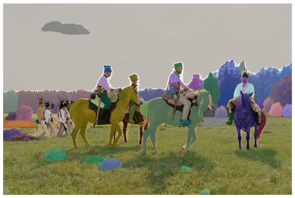 Image segmentation output from the Segment Anything model.