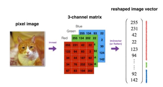 Image Vector Clarification - Neural Networks and Deep Learning -  DeepLearning.AI